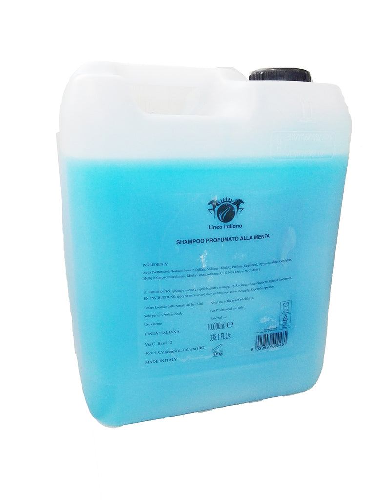 TANICA SH 10 LT MENTA - Elma Beauty Shop