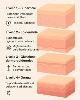 Siero viso Elma Beauty Shop LR Wonder Staminal+ in flacone da 30 ml, con applicatore e etichetta.